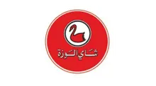 Digital Creative Vision client logo 24