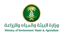 DCV client logo